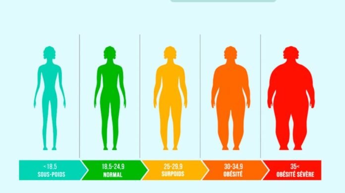 IMC : Comment Calculer et Interpréter Correctement votre Indice de Masse Corporelle